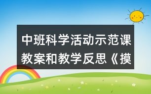 中班科學活動示范課教案和教學反思《摸摸有什么感覺》