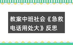 教案中班社會(huì)《急救電話用處大》反思