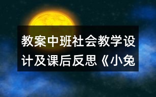 教案中班社會教學(xué)設(shè)計及課后反思《小兔的花園》