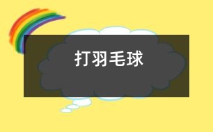 打羽毛球