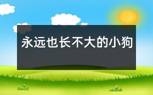 永遠(yuǎn)也長不大的小狗