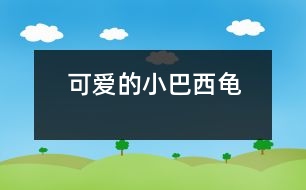 可愛的小巴西龜