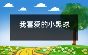 我喜愛的小黑球