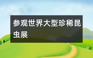 參觀世界大型珍稀昆蟲(chóng)展