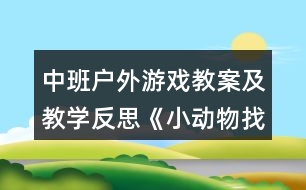 中班戶外游戲教案及教學反思《小動物找家》