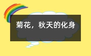 菊花，秋天的化身