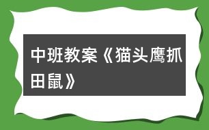 中班教案《貓頭鷹抓田鼠》