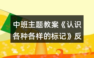 中班主題教案《認(rèn)識(shí)各種各樣的標(biāo)記》反思