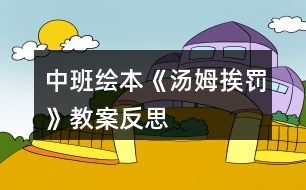 中班繪本《湯姆挨罰》教案反思