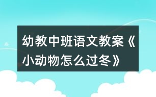 幼教中班語文教案《小動物怎么過冬》