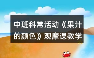 中班科?；顒?dòng)《果汁的顏色》觀摩課教學(xué)設(shè)計(jì)