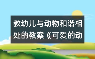 教幼兒與動物和諧相處的教案《可愛的動物》