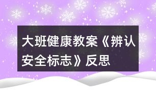 大班健康教案《辨認(rèn)安全標(biāo)志》反思