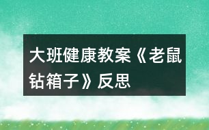 大班健康教案《老鼠鉆箱子》反思