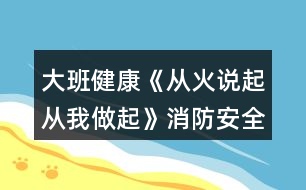 大班健康《從火說起從我做起》消防安全教案反思