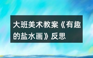 大班美術教案《有趣的鹽水畫》反思