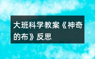 大班科學教案《神奇的布》反思