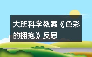 大班科學(xué)教案《色彩的擁抱》反思