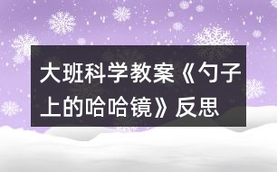 大班科學教案《勺子上的哈哈鏡》反思