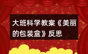 大班科學(xué)教案《美麗的包裝盒》反思