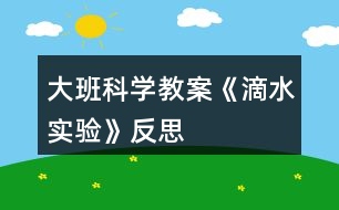 大班科學(xué)教案《滴水實(shí)驗(yàn)》反思