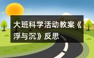 大班科學(xué)活動教案《浮與沉》反思