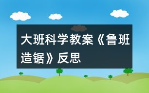 大班科學(xué)教案《魯班造鋸》反思