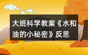 大班科學(xué)教案《水和油的小秘密》反思