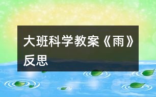 大班科學教案《雨》反思