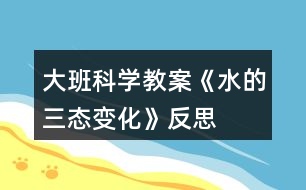 大班科學教案《水的三態(tài)變化》反思