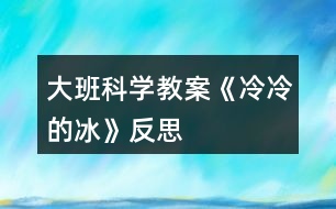 大班科學教案《冷冷的冰》反思