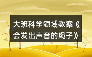 大班科學(xué)領(lǐng)域教案《會發(fā)出聲音的繩子》反思