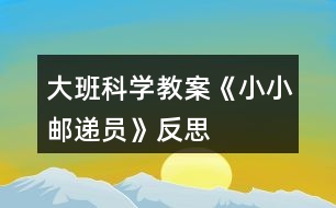 大班科學(xué)教案《小小郵遞員》反思