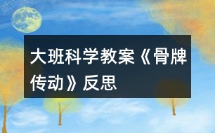 大班科學(xué)教案《骨牌傳動》反思