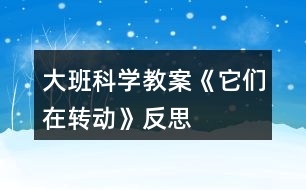 大班科學教案《它們在轉(zhuǎn)動》反思