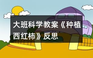 大班科學教案《種植西紅柿》反思