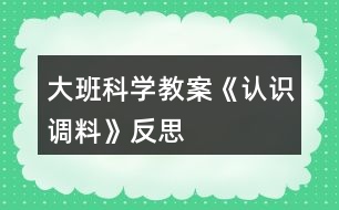 大班科學教案《認識調料》反思