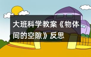 大班科學(xué)教案《物體間的空隙》反思