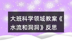 大班科學(xué)領(lǐng)域教案《水流和洞洞》反思