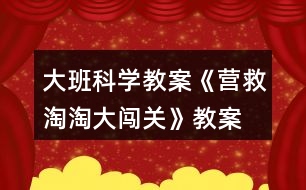 大班科學(xué)教案《營救淘淘大闖關(guān)》教案