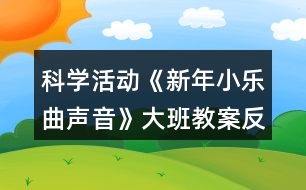 科學(xué)活動(dòng)《新年小樂曲聲音》大班教案反思