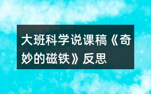 大班科學(xué)說課稿《奇妙的磁鐵》反思