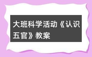 大班科學(xué)活動《認識五官》教案