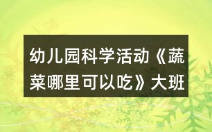 幼兒園科學(xué)活動《蔬菜哪里可以吃》大班語言教案狐貍種菜