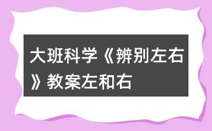 大班科學(xué)《辨別左右》教案（左和右）