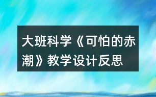 大班科學《可怕的赤潮》教學設計反思