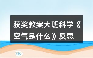 獲獎教案大班科學《空氣是什么》反思