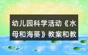 幼兒園科學(xué)活動《水母和?？方贪负徒虒W(xué)反思