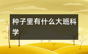 種子里有什么（大班科學(xué)）