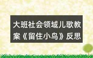 大班社會(huì)領(lǐng)域兒歌教案《留住小鳥(niǎo)》反思